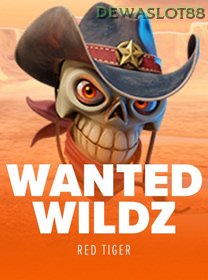 Wanted Wildz game cover